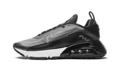 AIR MAX 2090 "Black / Wolf Grey" CW7306 001