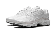 Air Max Plus WMNS "Platinum Tint" FZ4342 001