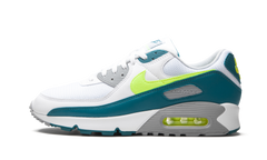 Air Max 90 "Spruce Lime" CZ2908 100