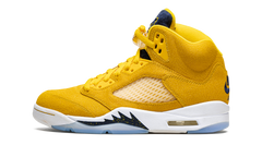 5 Retro PE "Michigan" DJ4954 997021