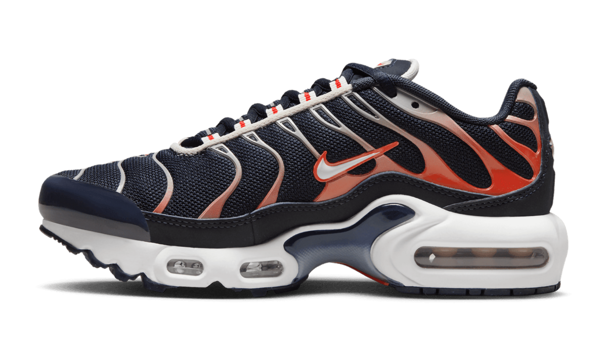 Air Max Plus "OBSIDIAN BRIGHT CRIMSON" CD0609 408