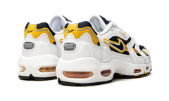 Air Max 96 2 "Goldenrod" CZ1921 100
