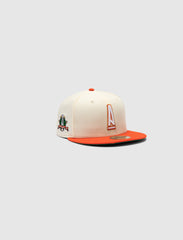 AMM HTX CHROME HAT