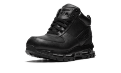 Air Max Goadome (GS) 311567 001