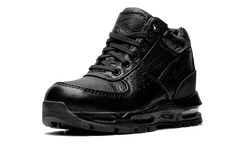 Air Max Goadome PS 311568 001