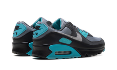 Air Max 90 "Dusty Cactus" DM0029 013