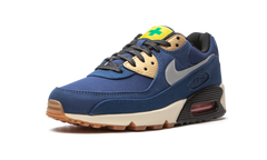 Air Max 90 "City Pack - Tokyo" CW1409 400