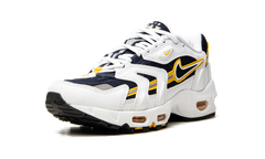 Air Max 96 2 "Goldenrod" CZ1921 100