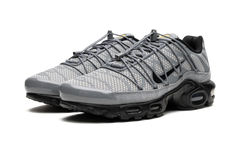 Air Max Plus "Bungee" FD0670 002