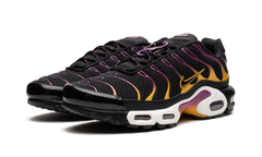 Air Max Plus DX2663 001
