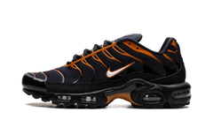 Air Max Plus "OBSIDIAN MONARCH" FN6949 400