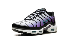 Air Max Plus "Reverse Grape" FQ2415 500