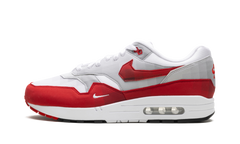 Air Max 1 "Low Poly" HQ5882 100