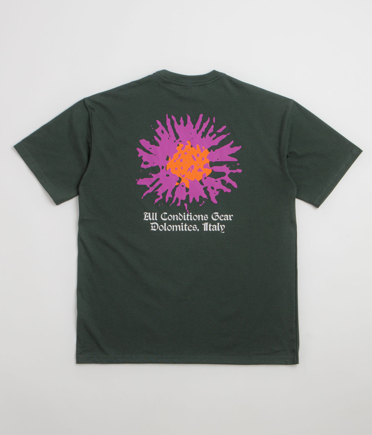 Nike ACG Meadows T-Shirt - Black Spruce