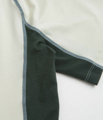 Nike ACG Wildsee T-Shirt - Sea Glass / Black Spruce / Summit White