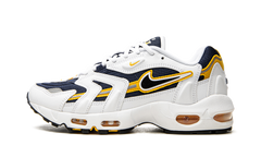 Air Max 96 2 "Goldenrod" CZ1921 100