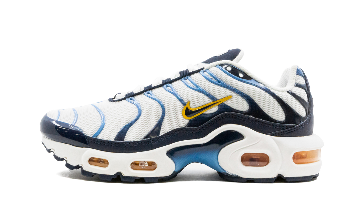 Air Max Plus CD0609 100