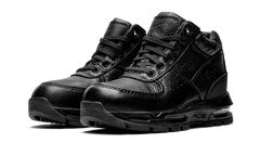 Air Max Goadome PS 311568 001