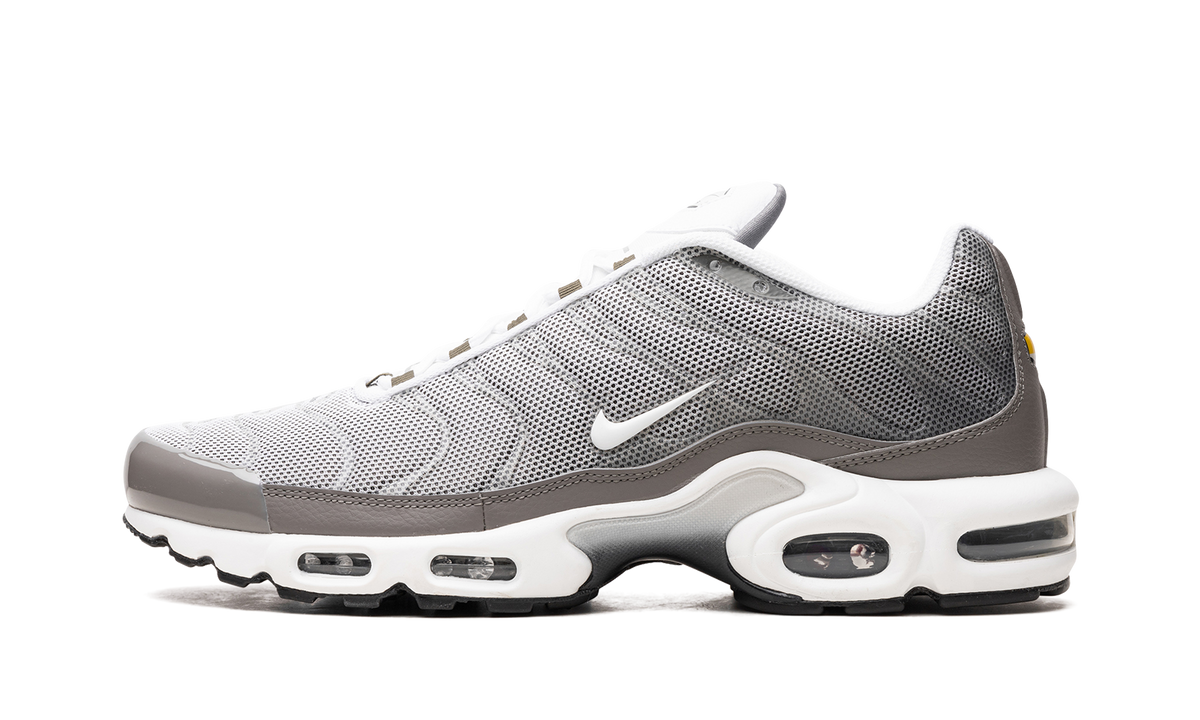 Air Max Plus SE "Flat Pewter" DV7665 002