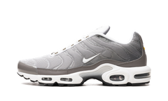 Air Max Plus SE "Flat Pewter" DV7665 002