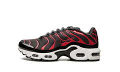 Air Max Plus GS CD0609 200
