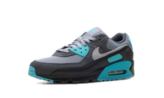 Air Max 90 "Dusty Cactus" DM0029 013