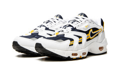Air Max 96 2 "Goldenrod" CZ1921 100
